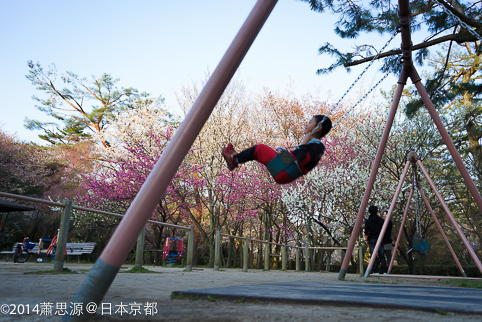 15344f5a894ee3