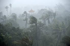 陳公獻占天氣